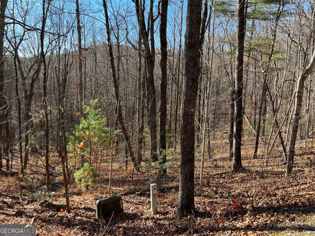 LOT #1 Forest Canopy Way, Clayton, GA 30525 — photo 5
