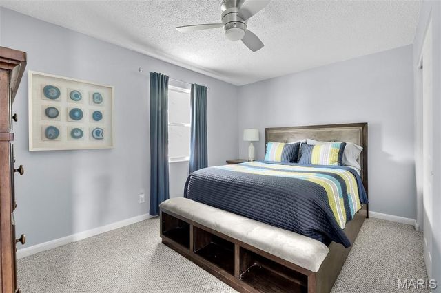 501 Louise Street, Farmington, MO 63640
