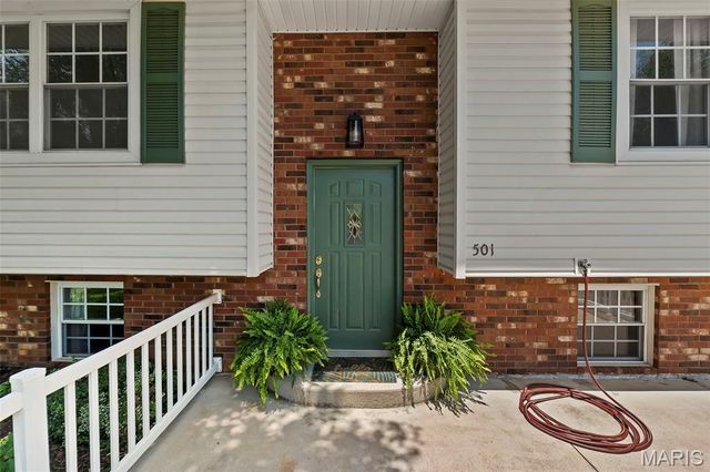 501 Louise Street, Farmington, MO 63640
