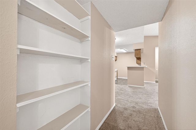 3600 Jeanetta Street 2704, Houston, TX 77063