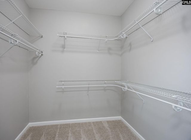 355 Tannery Way, Lexington, SC 29073