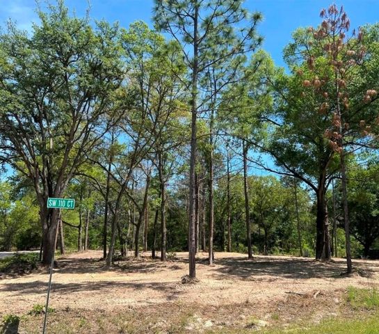 SW 110TH COURT, Dunnellon, FL 34432