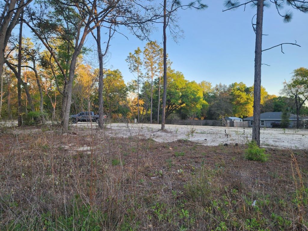 SW 110TH COURT, Dunnellon, FL 34432