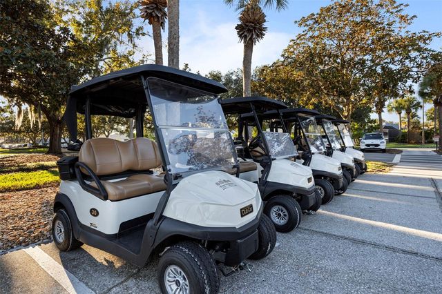 20907 TANGOR ROAD, Land O Lakes, FL 34637