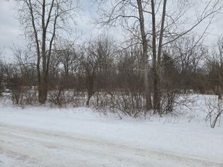 V/L Roat Court, Burton, MI 48509