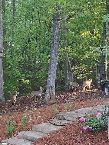 123 Summit Pine, Sunset, SC 29685