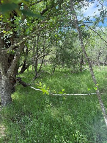 Lot 200 Nene LN, Bastrop, TX 78602