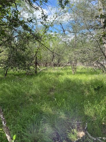 Lot 200 Nene LN, Bastrop, TX 78602