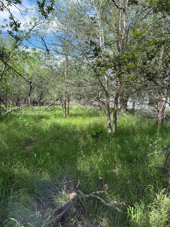 Lot 200 Nene LN, Bastrop, TX 78602