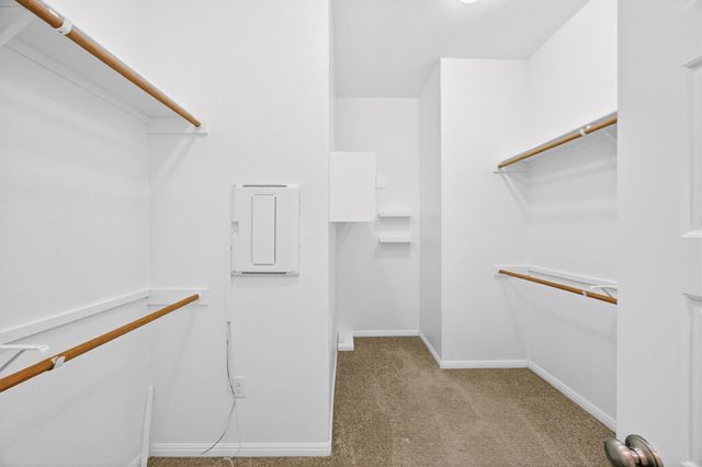 810 Clearwell ST, Cedar Park, TX 78613