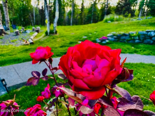 35385 Reger Road, Soldotna, AK 99669