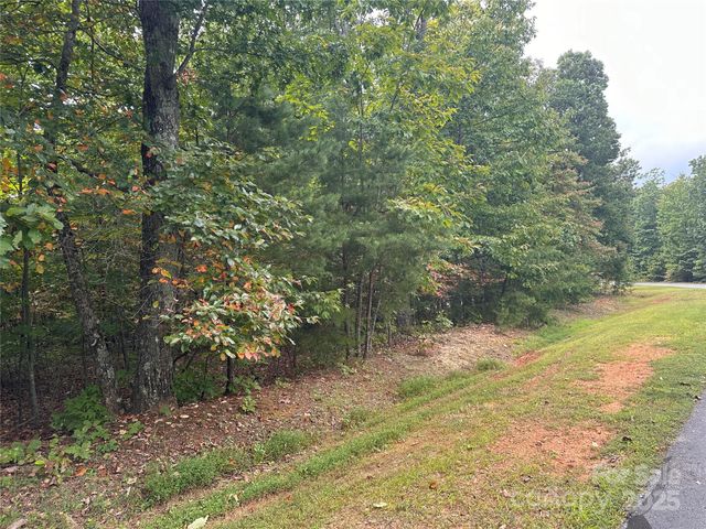 333 Mossy Oak Trail 164, Nebo, NC 28761