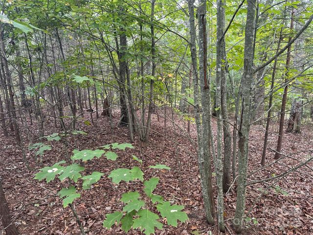 333 Mossy Oak Trail 164, Nebo, NC 28761