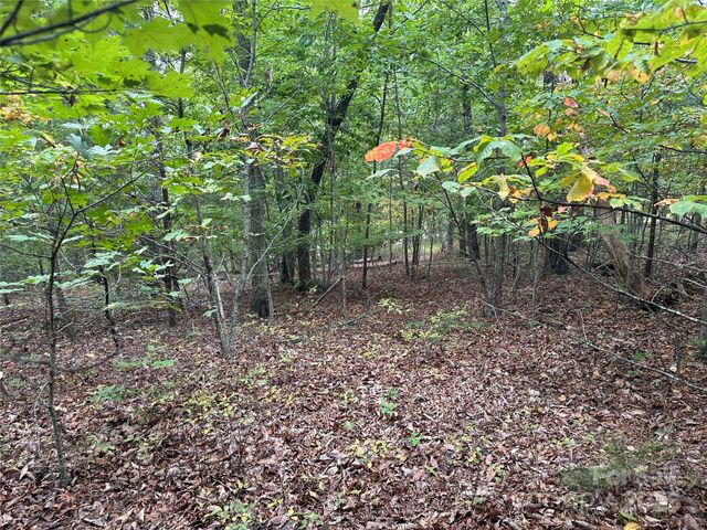 333 Mossy Oak Trail 164, Nebo, NC 28761