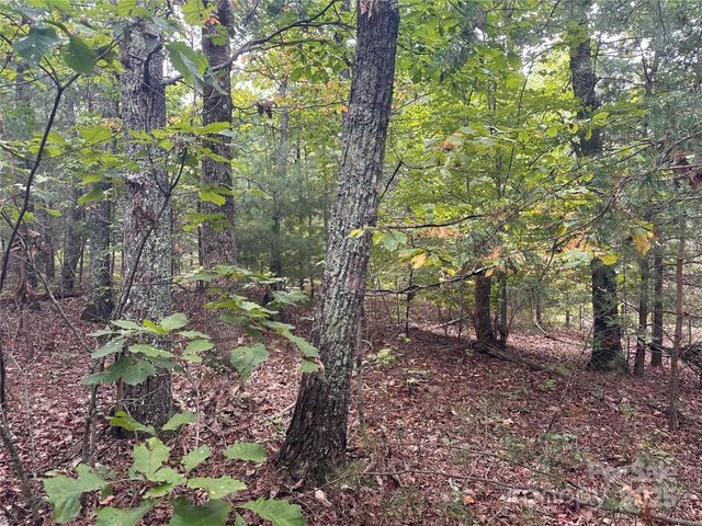 333 Mossy Oak Trail 164, Nebo, NC 28761