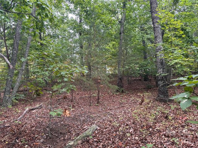 333 Mossy Oak Trail 164, Nebo, NC 28761