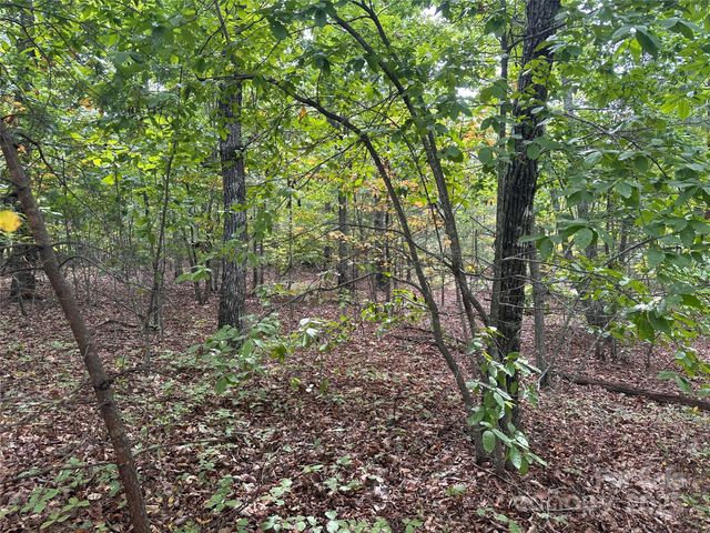 333 Mossy Oak Trail 164, Nebo, NC 28761