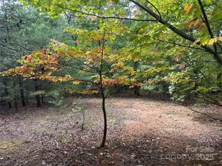 333 Mossy Oak Trail 164, Nebo, NC 28761