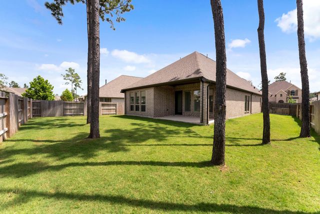 17192 Wild Robin Lane, Conroe, TX 77302