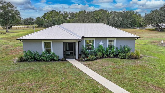 2973 NE BROWNVILLE STREET, Arcadia, FL 34266