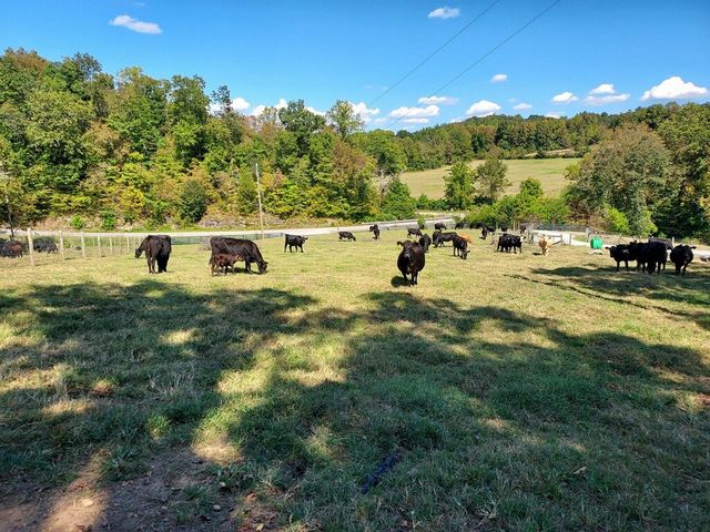 875 Waterloo Rd, Westpoint, TN 38486