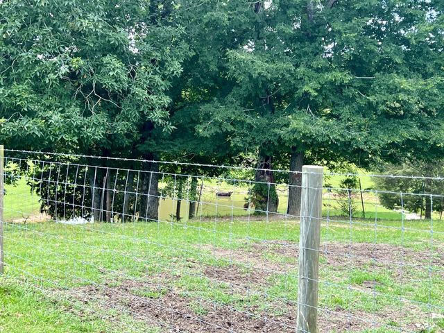 875 Waterloo Rd, Westpoint, TN 38486