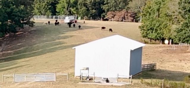875 Waterloo Rd, Westpoint, TN 38486