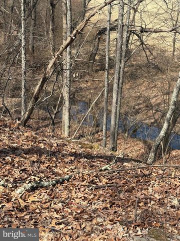 Lot 7 FOXES HOLLOW RD, Romney, WV 26757