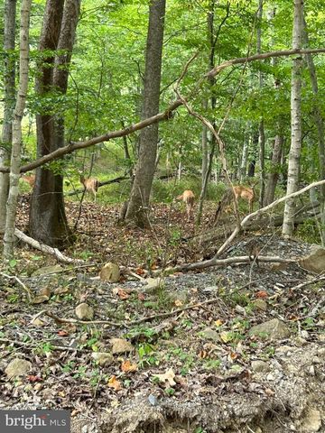 Lot 7 FOXES HOLLOW RD, Romney, WV 26757