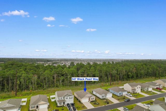 347 Black Pearl Way, Myrtle Beach, SC 29588