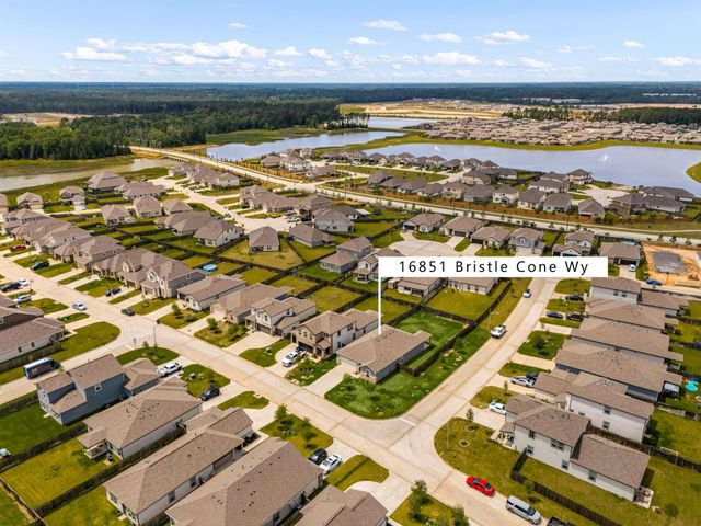 16851 Bristle Cone Way, Conroe, TX 77302
