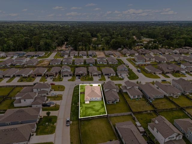 16851 Bristle Cone Way, Conroe, TX 77302