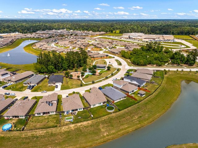 16851 Bristle Cone Way, Conroe, TX 77302