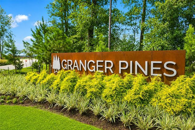 16851 Bristle Cone Way, Conroe, TX 77302