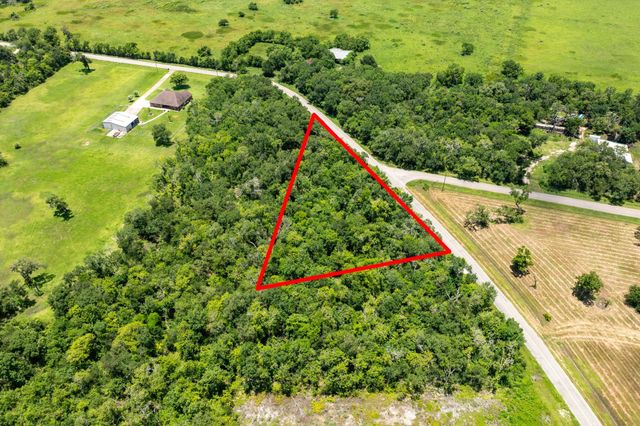 Lot 1 County Road 819, Brazoria, TX 77422