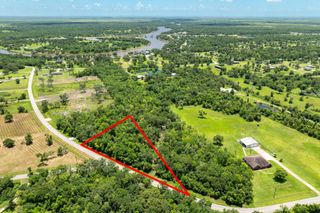 Lot 1 County Road 819, Brazoria, TX 77422