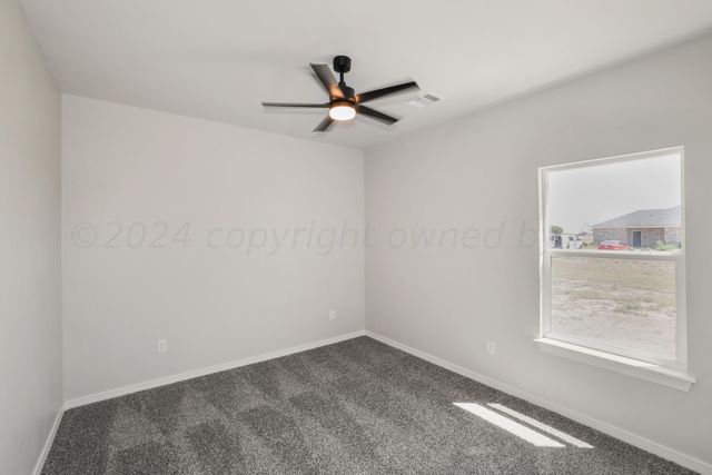 17900 LONE RANCH Road, Amarillo, TX 79124