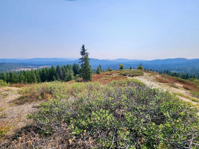 1700 Hershaw Rd, Newport, WA 99156