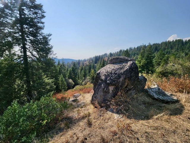 1700 Hershaw Rd, Newport, WA 99156