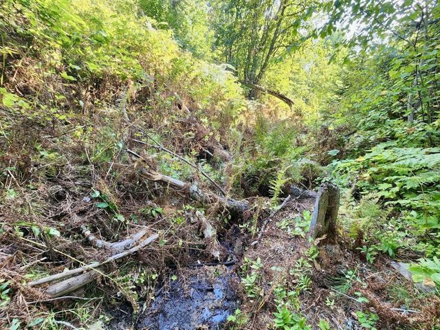 1700 Hershaw Rd, Newport, WA 99156