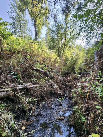 1700 Hershaw Rd, Newport, WA 99156