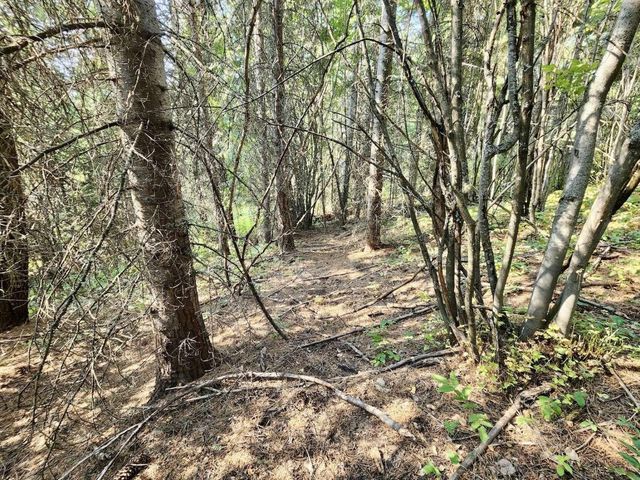 1700 Hershaw Rd, Newport, WA 99156