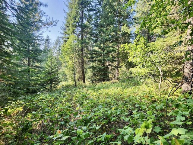 1700 Hershaw Rd, Newport, WA 99156