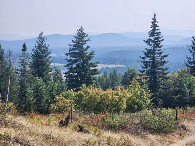 1700 Hershaw Rd, Newport, WA 99156