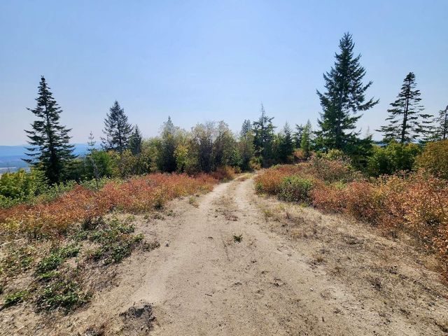 1700 Hershaw Rd, Newport, WA 99156