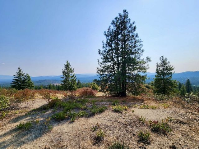 1700 Hershaw Rd, Newport, WA 99156