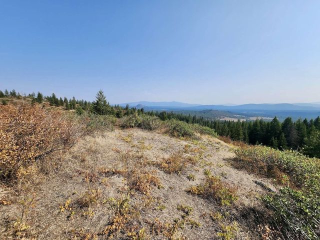 1700 Hershaw Rd, Newport, WA 99156