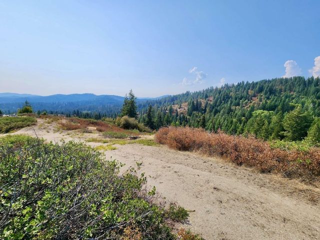 1700 Hershaw Rd, Newport, WA 99156