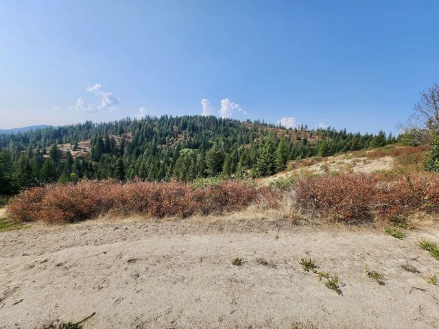 1700 Hershaw Rd, Newport, WA 99156