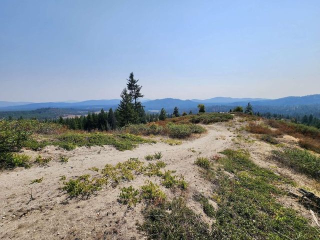 1700 Hershaw Rd, Newport, WA 99156